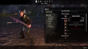 Ein Skill Beispiel aus dem Video von Zenimax